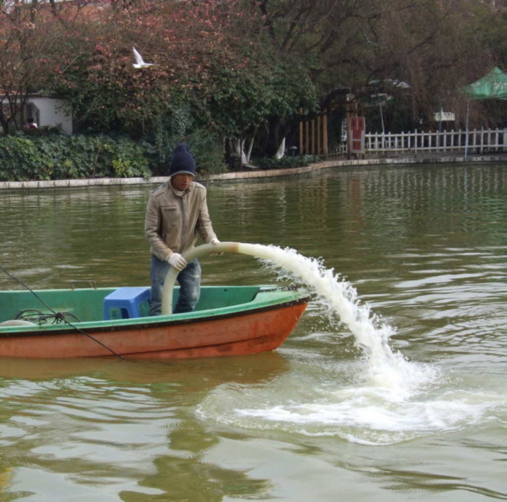 Seewasseraufbereitung, Provinz Yunnan 2014